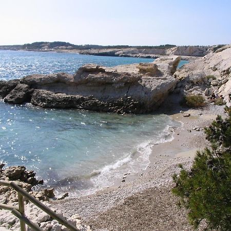 *Tiny Jungle* / Plage, Port Et Commerces A Pied ソセ・レ・パン エクステリア 写真