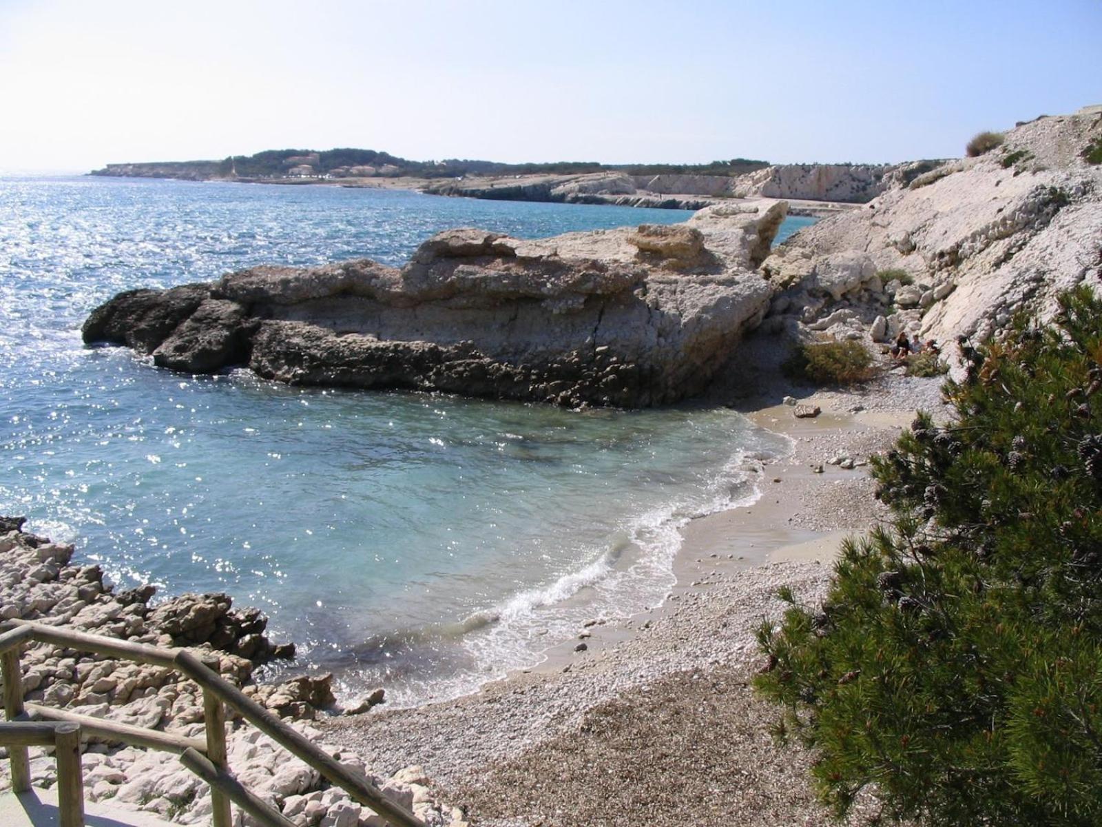 *Tiny Jungle* / Plage, Port Et Commerces A Pied ソセ・レ・パン エクステリア 写真